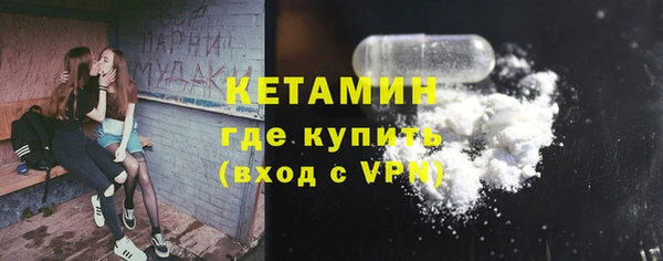 мдпв Ельня