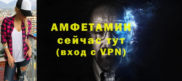 мдпв Ельня
