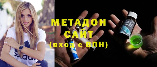 мдпв Ельня