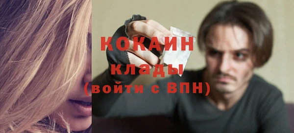 метадон Елизово