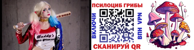 Псилоцибиновые грибы Cubensis  Купить закладки  Брюховецкая 